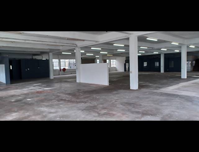 1,000M² WAREHOUSE TO LET IN NEW GERMANY